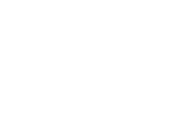 Flor de Lis